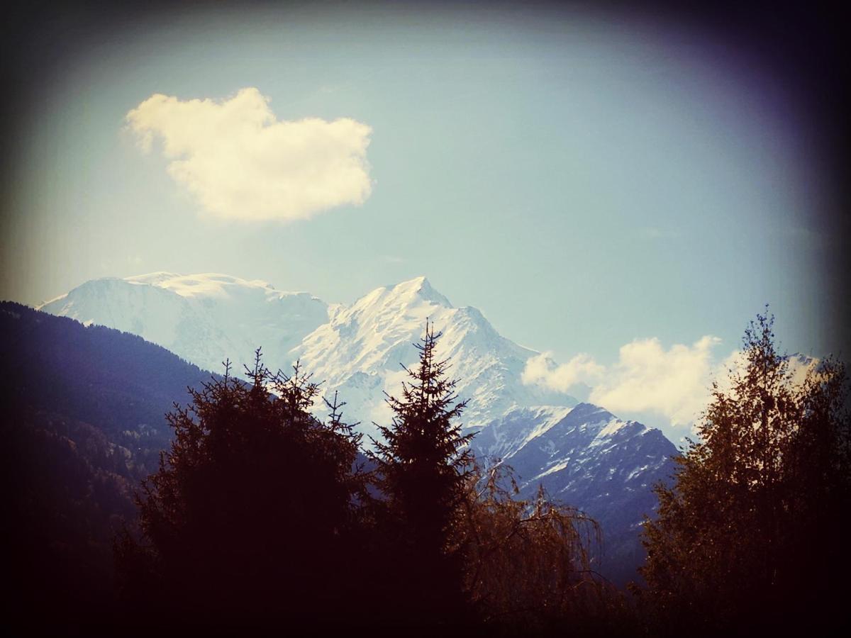 Le Petit Chamois Apartman Saint-Gervais-les-Bains Kültér fotó